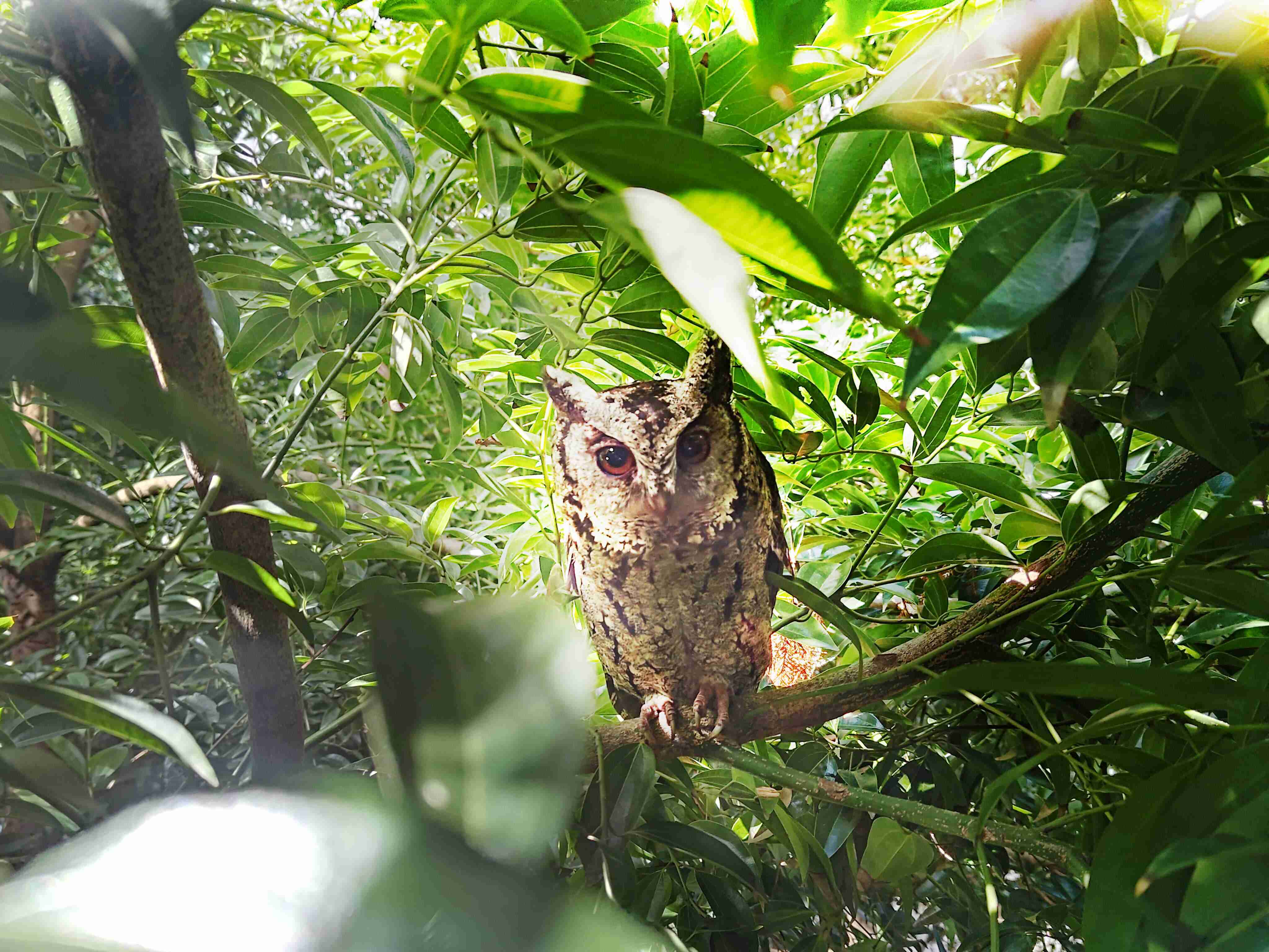 PA直营致力提倡净零绿生活，，16年以来在全球各厂区植树逾百万棵，，，，造就各厂区树木蔚然成林，，，，犹如森林工厂，，，，成为许多生物的栖息地